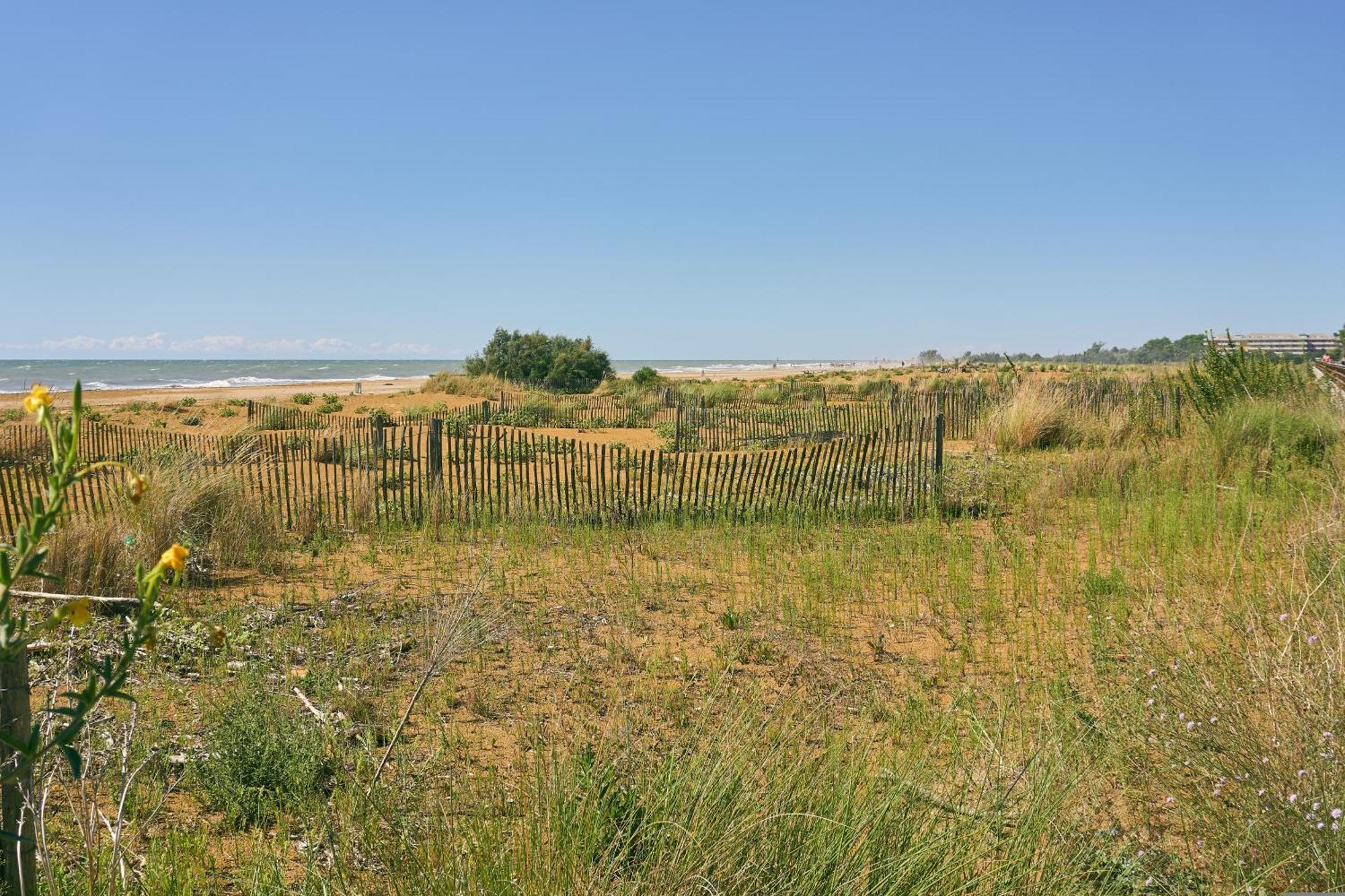 Luminous Seaside Flat For 4 Guests - Beahost
