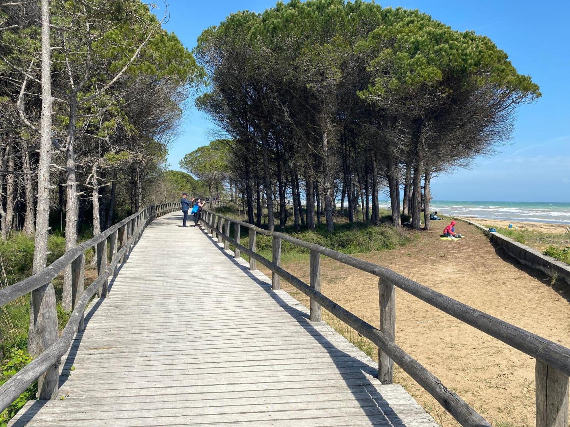 Luminous Seaside Flat For 4 Guests - Beahost Bibione