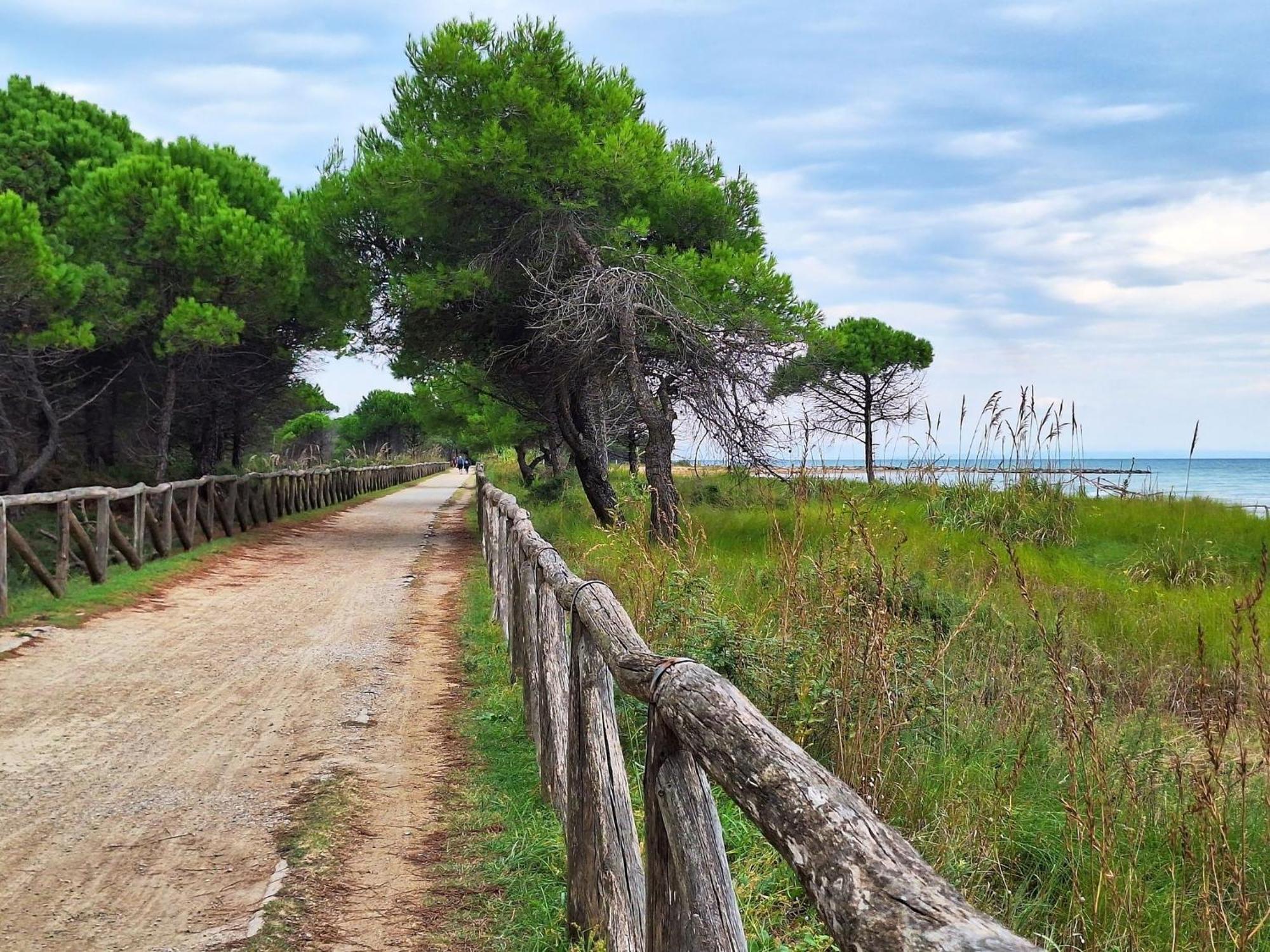 Luminous Seaside Flat For 4 Guests - Beahost Bibione